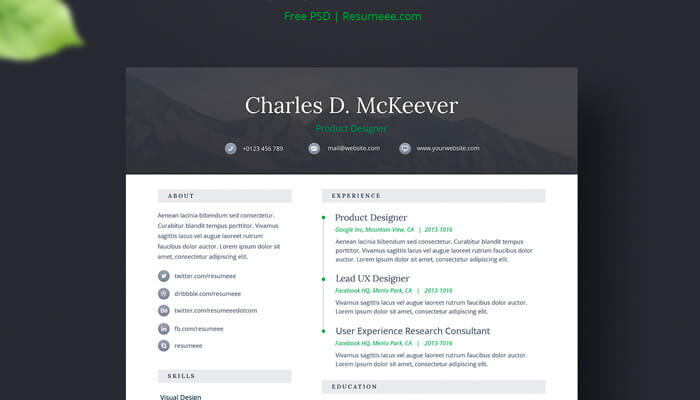 14 Onepage Free CV - Resume Template