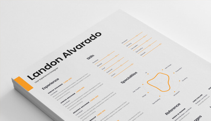 17 Resume Template for Designer