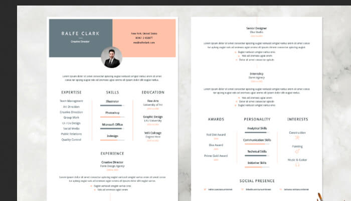 20 Velli Resume Template