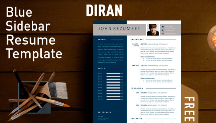 3 Diran Resume Template Word