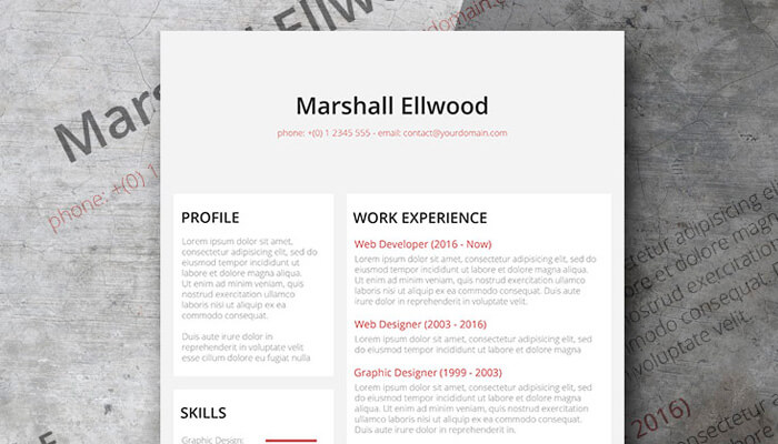 9 Desaturate Resume Template Word
